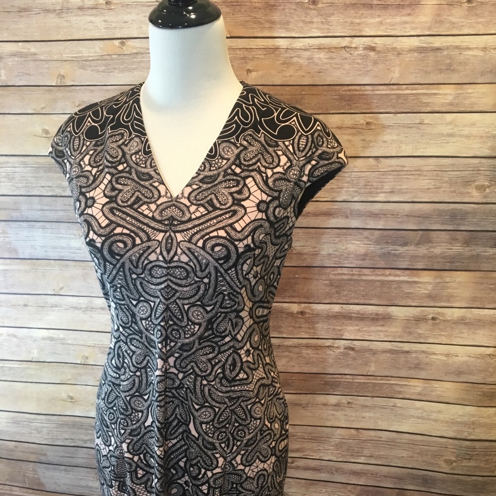 Stitch Fix Wisp 6 petite pink & black floral dress